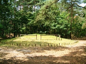 palenkransgrafheuvel midden bronstijd